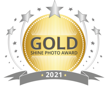 Maternity Newborn and Children Shine Gold Award Florida Photographer in 2021 given to Sweigart Photography