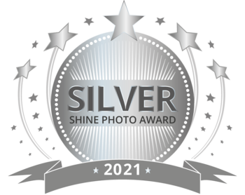Maternity Newborn and Children Shine Silver Award Florida Photographer in 2021 given to Sweigart Photography